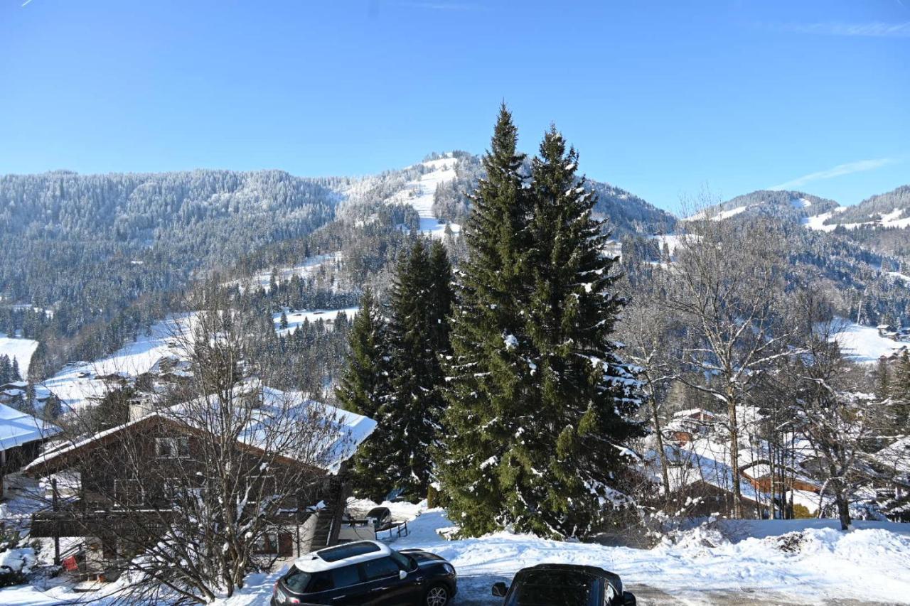 Apartmán Les Bouquetins La Clusaz Exteriér fotografie