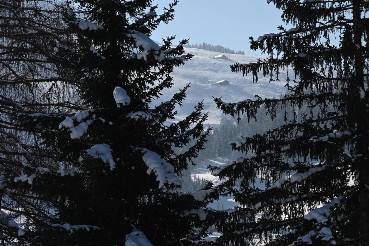 Apartmán Les Bouquetins La Clusaz Exteriér fotografie