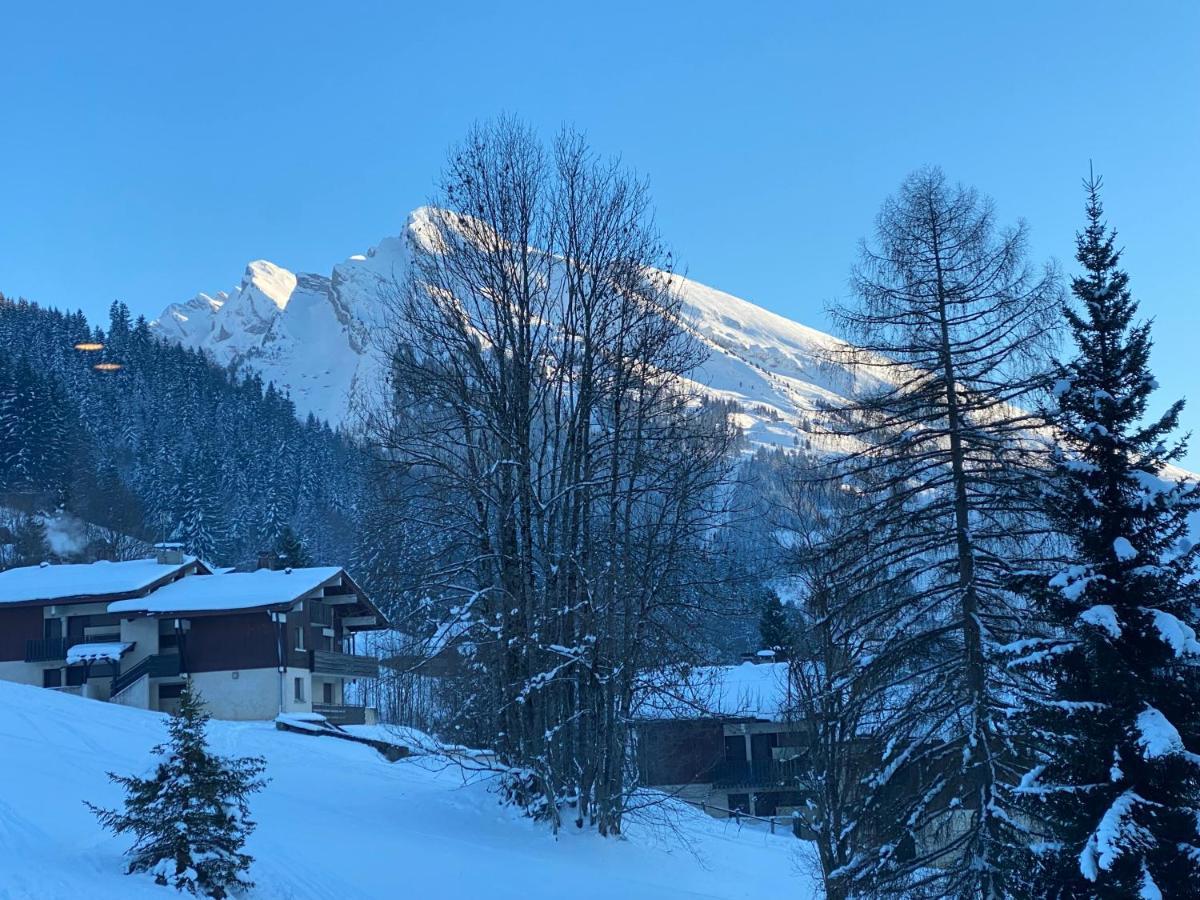 Apartmán Les Bouquetins La Clusaz Exteriér fotografie